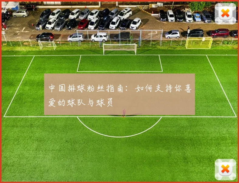 中国排球粉丝指南:如何支持你喜爱的球队与球员